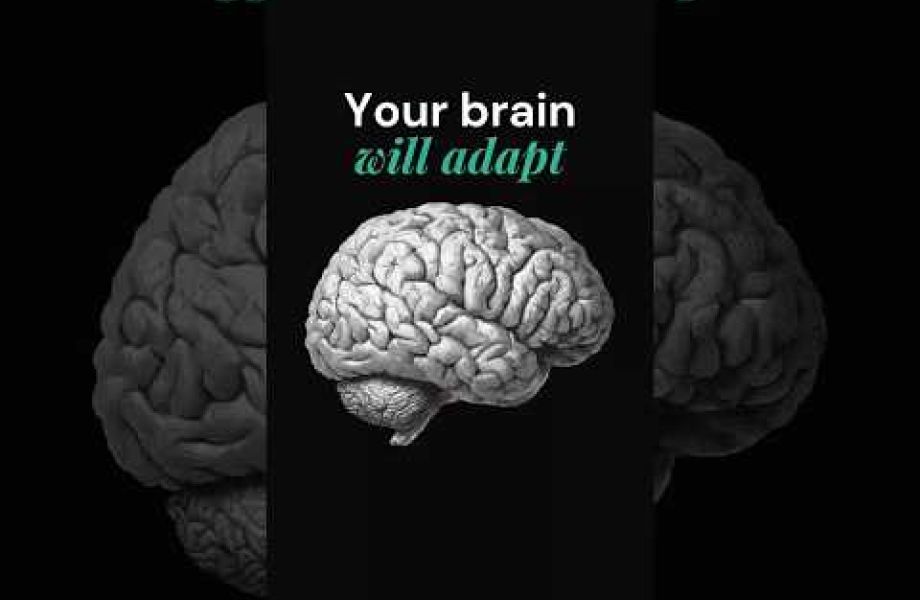 Illustration of a human brain representing neural adaptation after cataract surgery