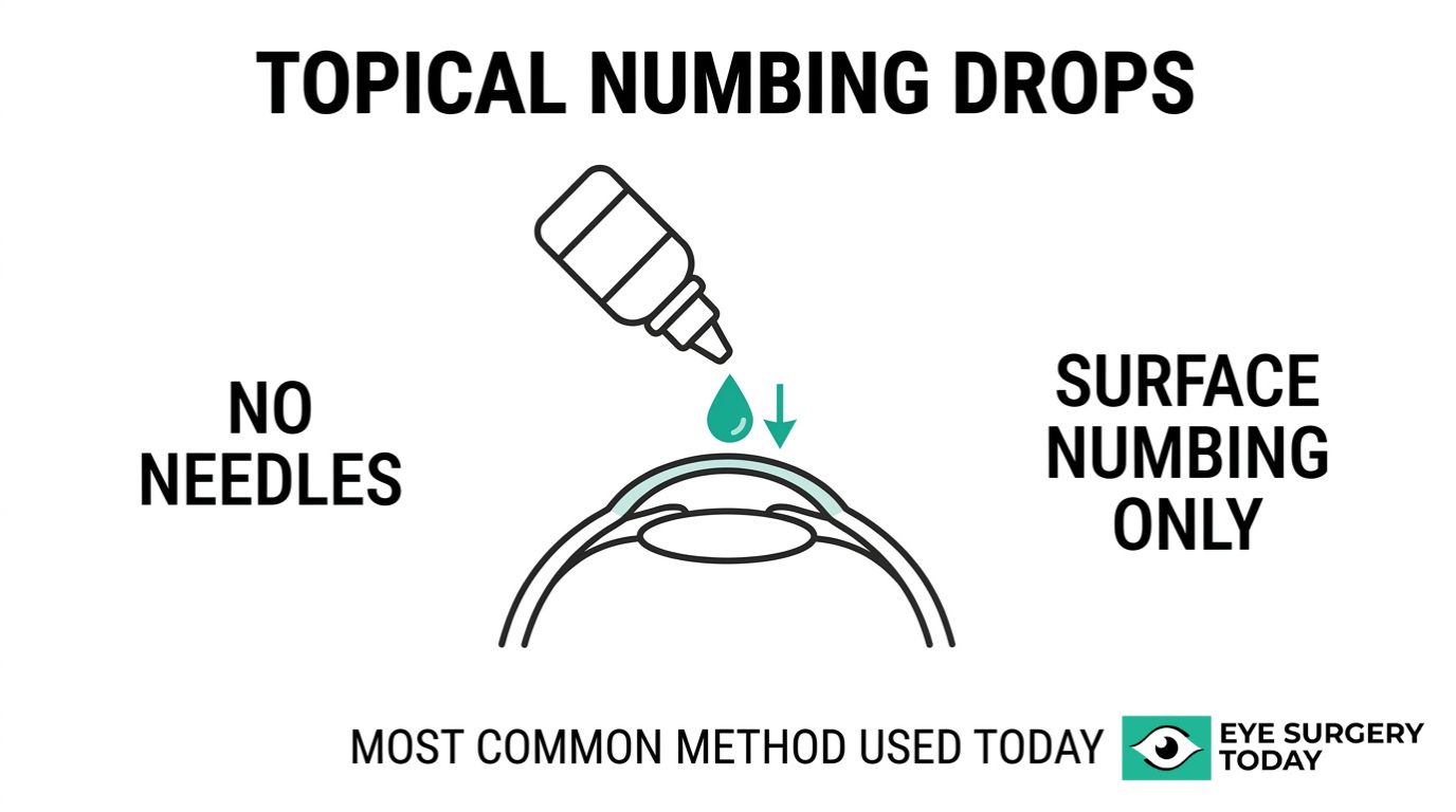Illustration explaining topical numbing drops for eye surgery, showing eye drops applied to the eye with no needles and surface numbing only.