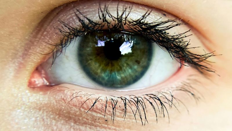 an eye to represent eye health history