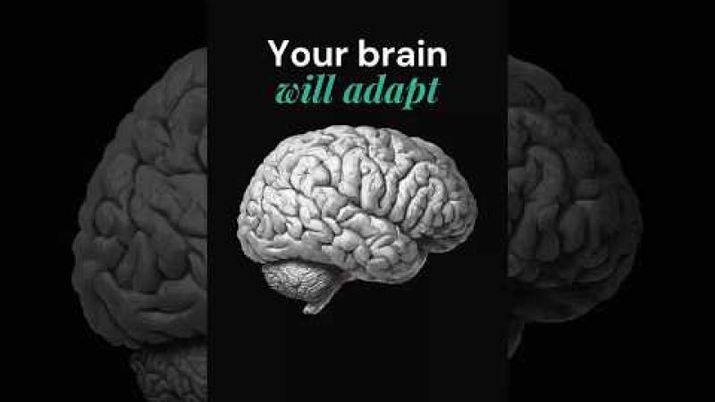 Illustration of a human brain representing neural adaptation after cataract surgery